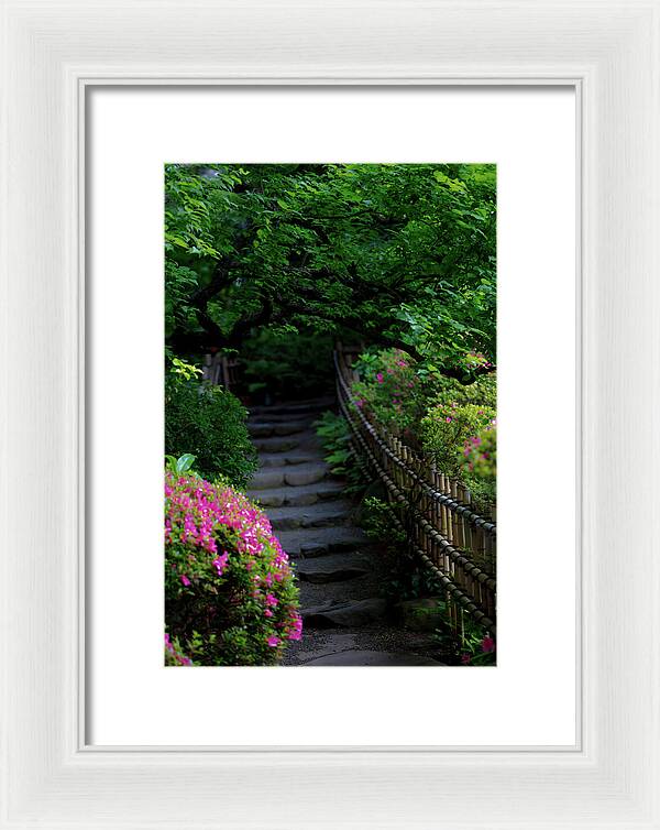 Gardens of Tokyo III - Framed Print