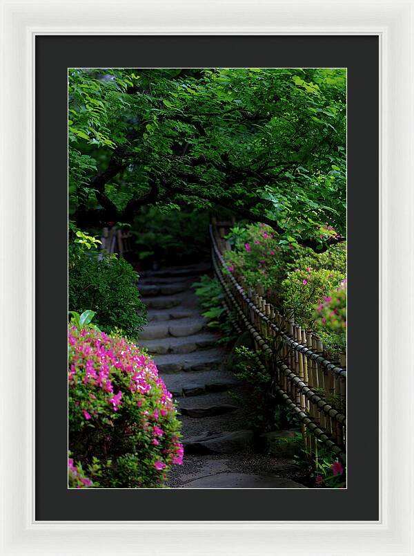 Gardens of Tokyo III - Framed Print