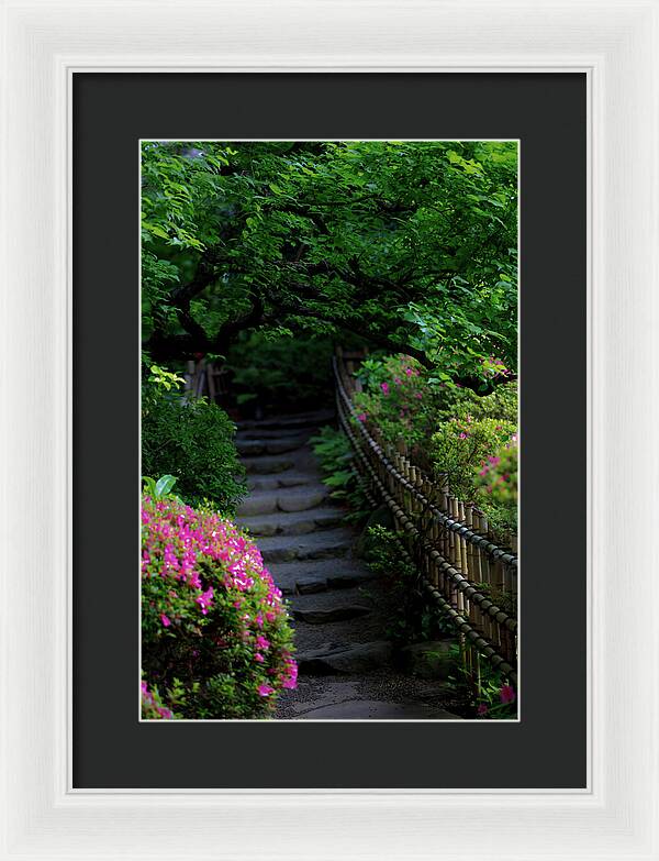 Gardens of Tokyo III - Framed Print