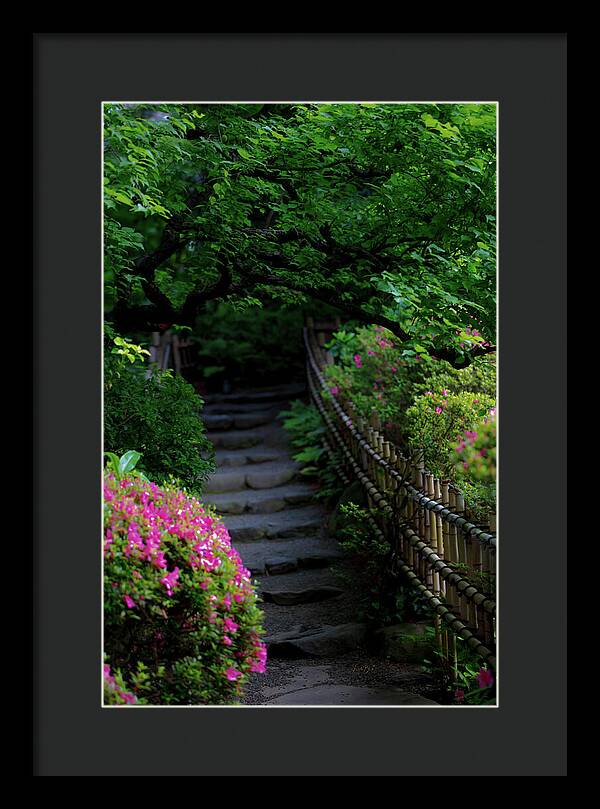 Gardens of Tokyo III - Framed Print