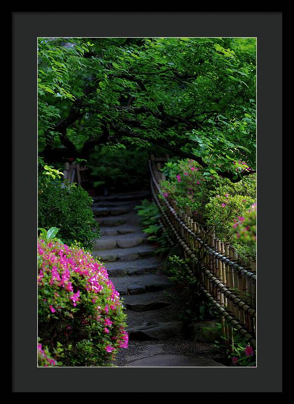 Gardens of Tokyo III - Framed Print