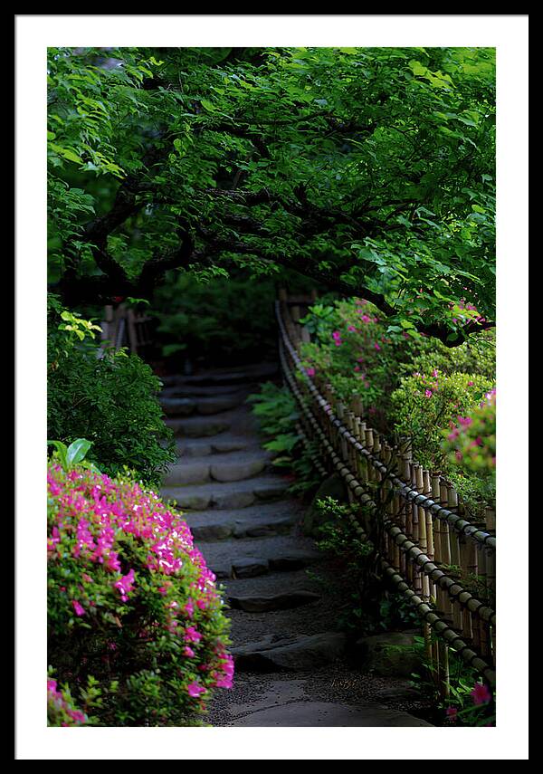 Gardens of Tokyo III - Framed Print
