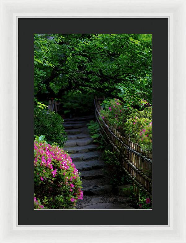 Gardens of Tokyo III - Framed Print