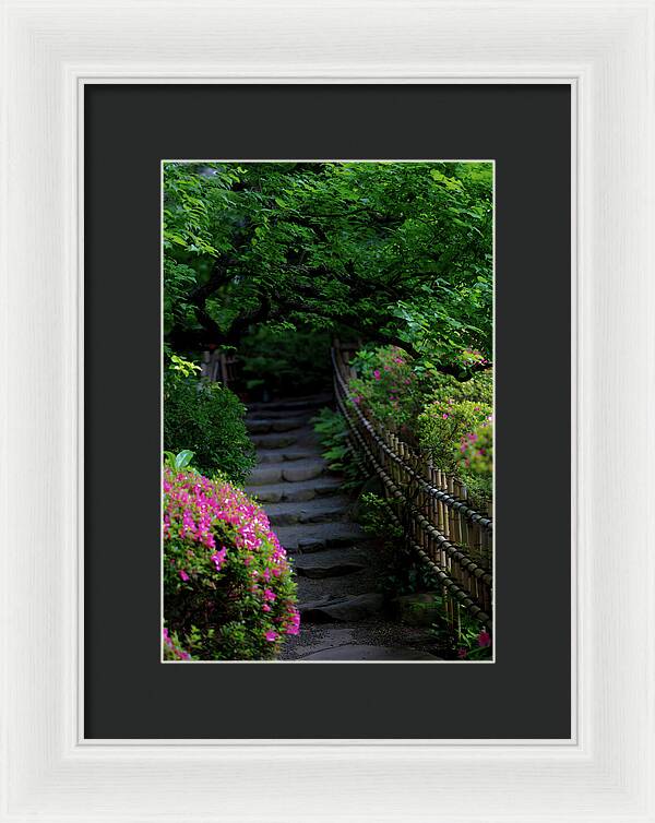 Gardens of Tokyo III - Framed Print