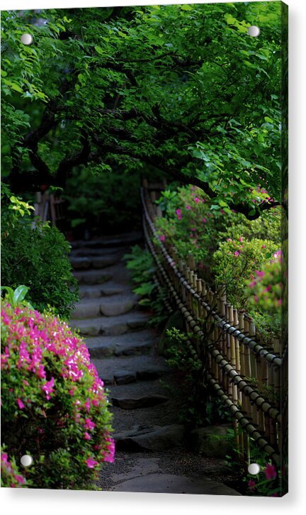Gardens of Tokyo III - Acrylic Print