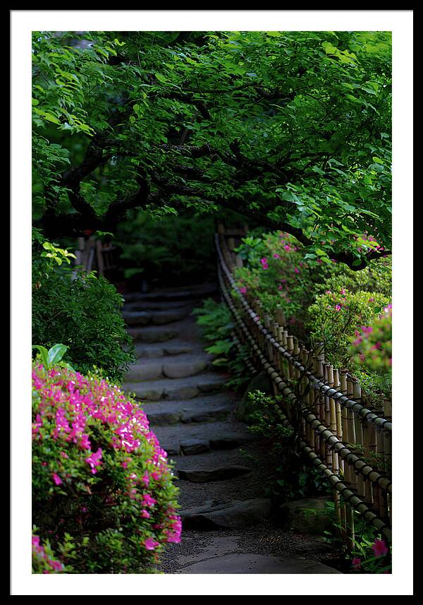 Gardens of Tokyo III - Framed Print