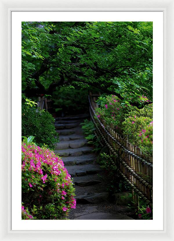 Gardens of Tokyo III - Framed Print