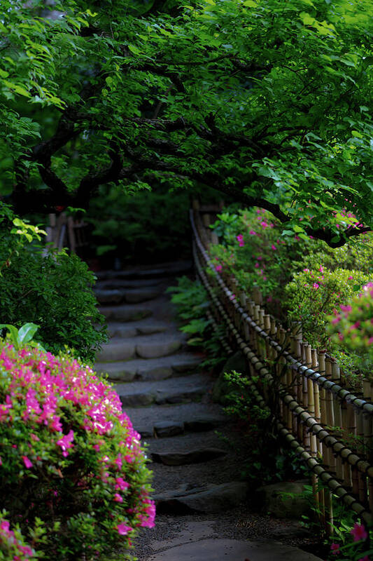 Gardens of Tokyo III - Art Print