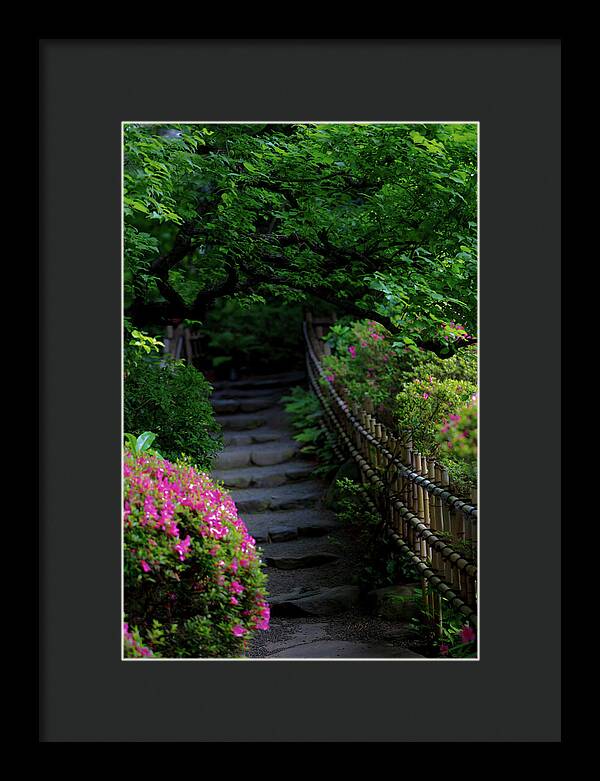 Gardens of Tokyo III - Framed Print
