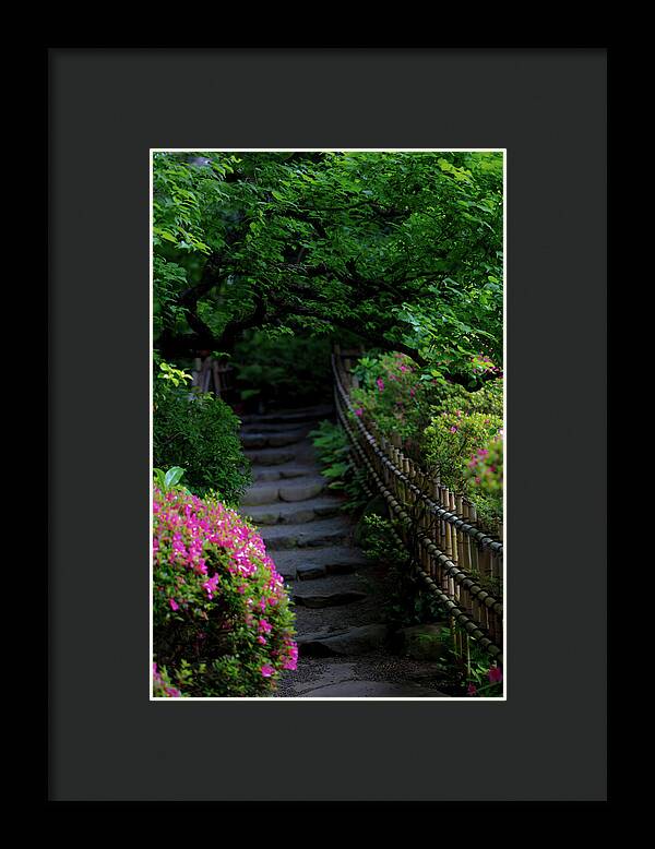 Gardens of Tokyo III - Framed Print