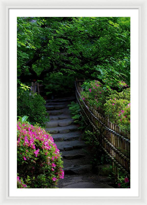 Gardens of Tokyo III - Framed Print