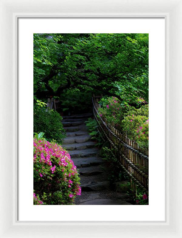 Gardens of Tokyo III - Framed Print