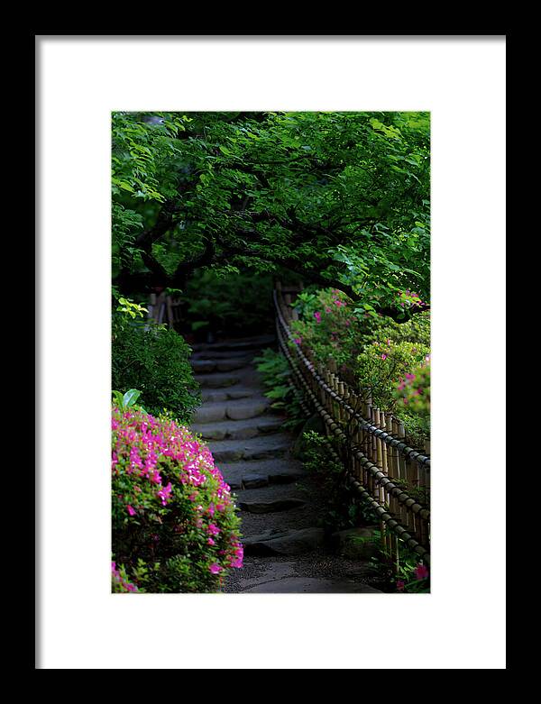 Gardens of Tokyo III - Framed Print