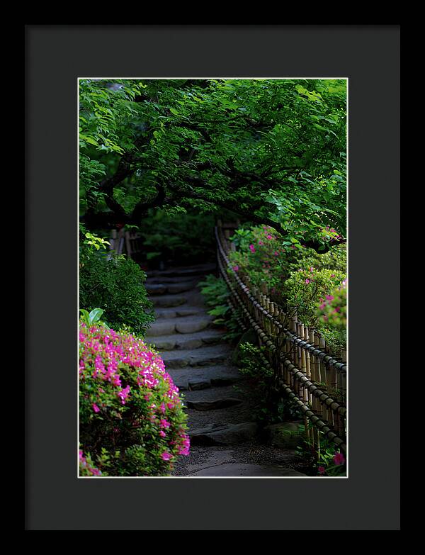 Gardens of Tokyo III - Framed Print