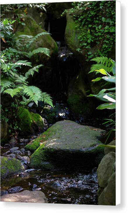 Gardens of Tokyo IV - Canvas Print
