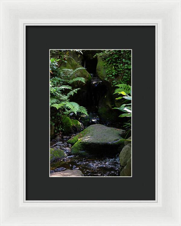 Gardens of Tokyo IV - Framed Print