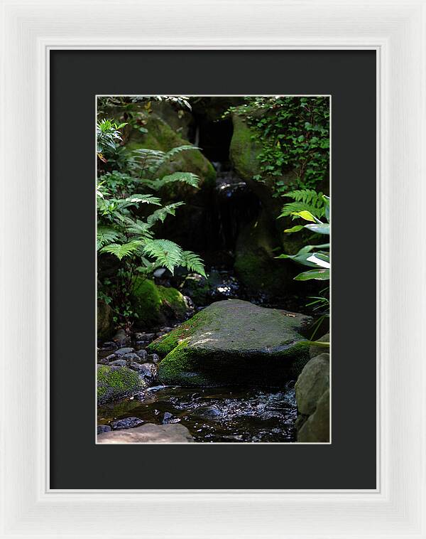 Gardens of Tokyo IV - Framed Print