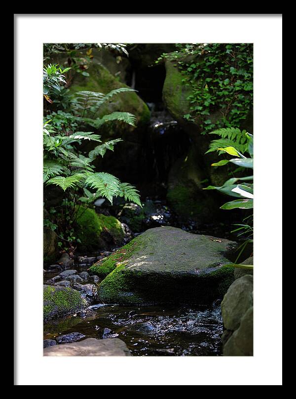 Gardens of Tokyo IV - Framed Print