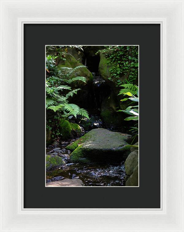 Gardens of Tokyo IV - Framed Print