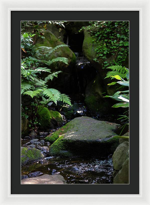 Gardens of Tokyo IV - Framed Print
