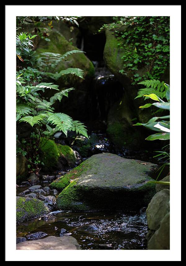 Gardens of Tokyo IV - Framed Print