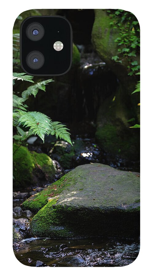 Gardens of Tokyo IV - Phone Case