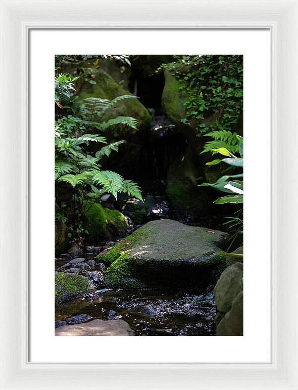 Gardens of Tokyo IV - Framed Print
