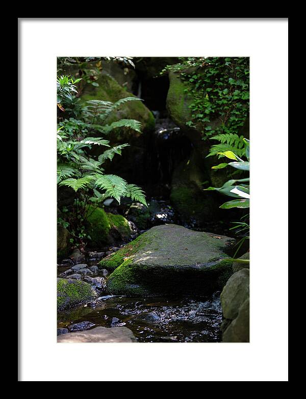 Gardens of Tokyo IV - Framed Print