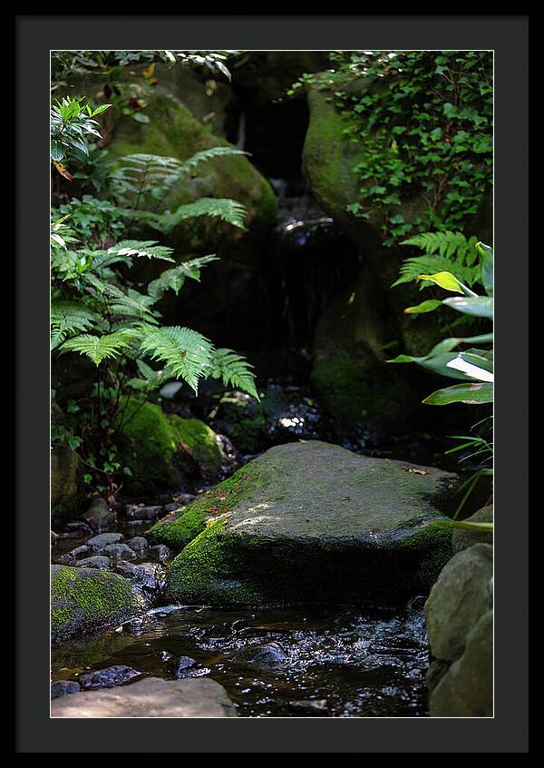 Gardens of Tokyo IV - Framed Print