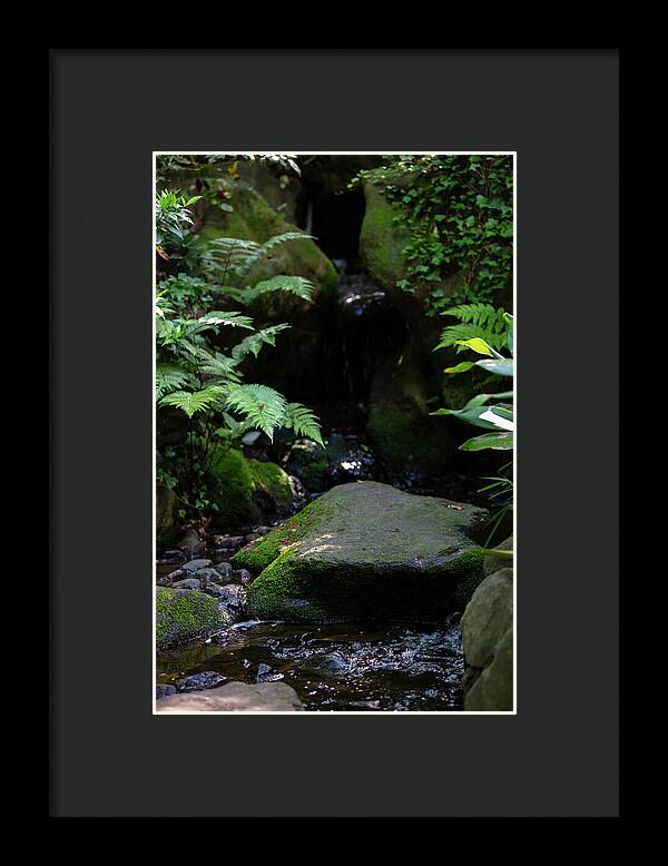 Gardens of Tokyo IV - Framed Print