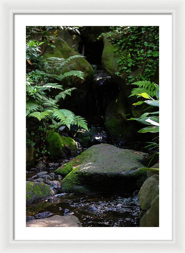 Gardens of Tokyo IV - Framed Print