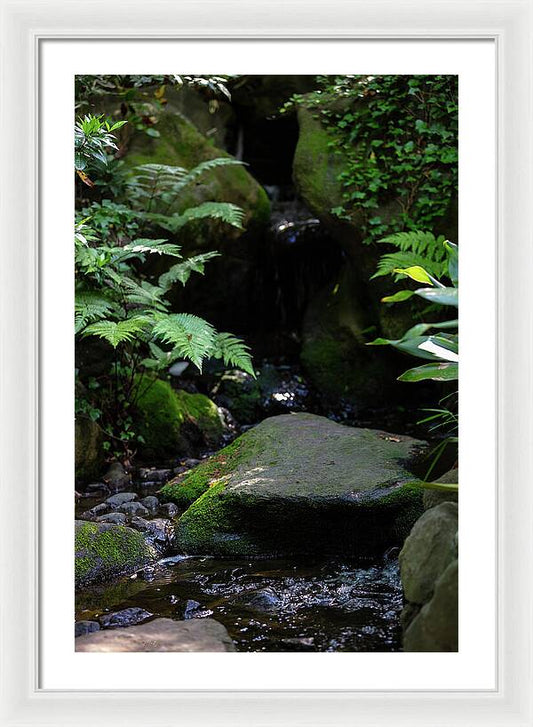 Gardens of Tokyo IV - Framed Print