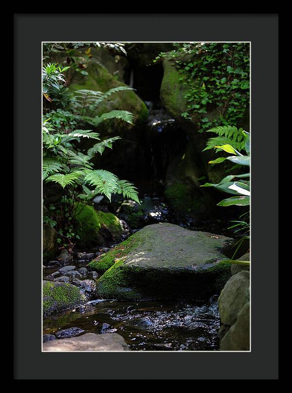Gardens of Tokyo IV - Framed Print