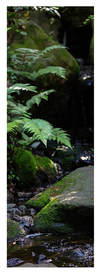 Gardens of Tokyo IV - Yoga Mat