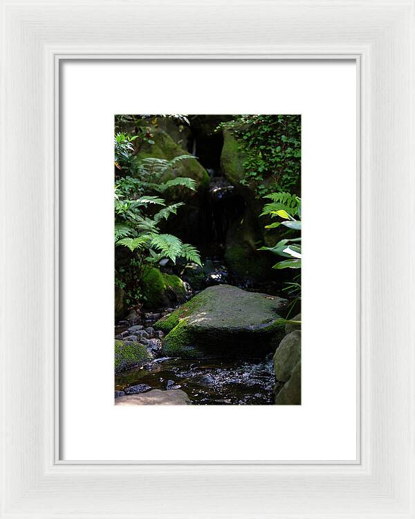 Gardens of Tokyo IV - Framed Print