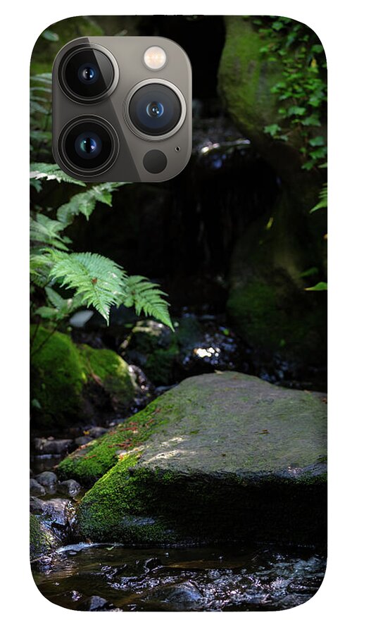 Gardens of Tokyo IV - Phone Case