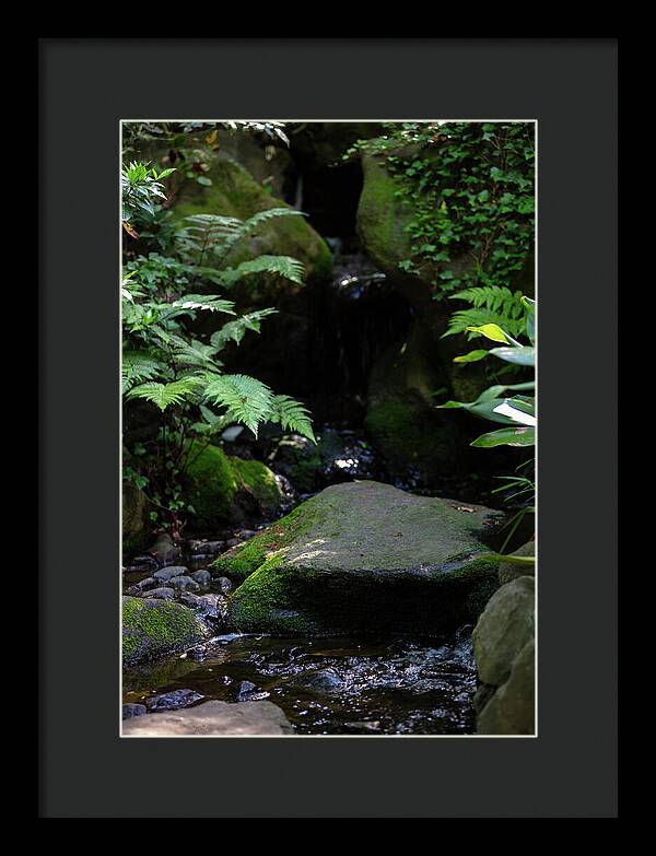 Gardens of Tokyo IV - Framed Print