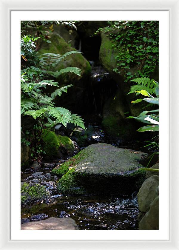 Gardens of Tokyo IV - Framed Print