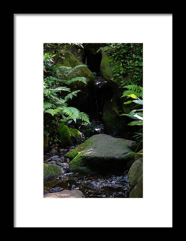 Gardens of Tokyo IV - Framed Print