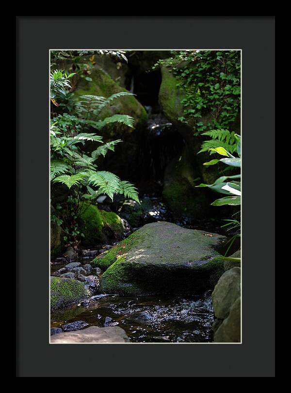 Gardens of Tokyo IV - Framed Print