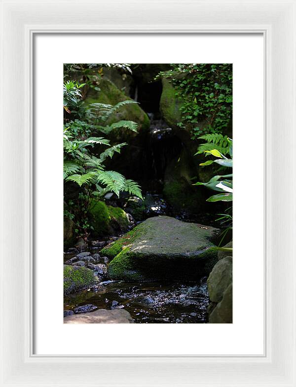 Gardens of Tokyo IV - Framed Print