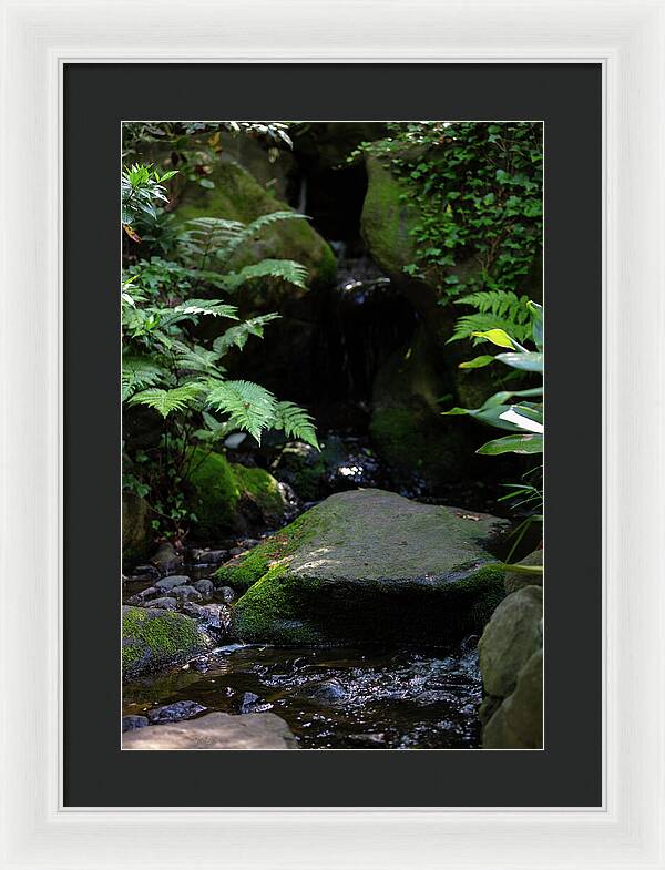 Gardens of Tokyo IV - Framed Print