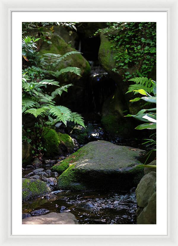 Gardens of Tokyo IV - Framed Print