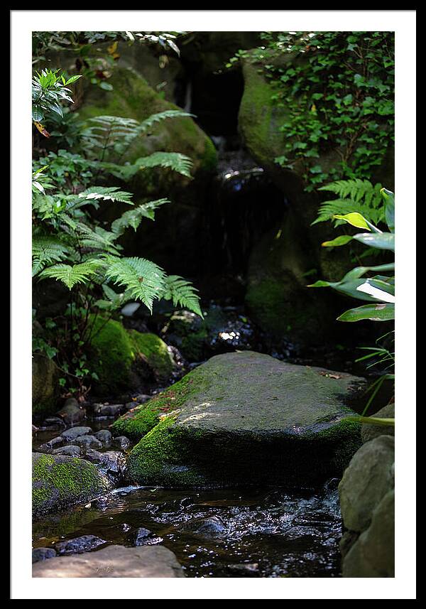 Gardens of Tokyo IV - Framed Print