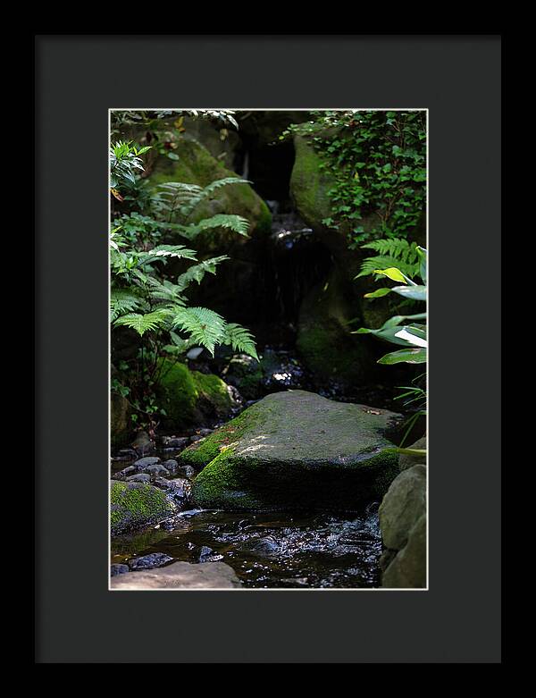 Gardens of Tokyo IV - Framed Print