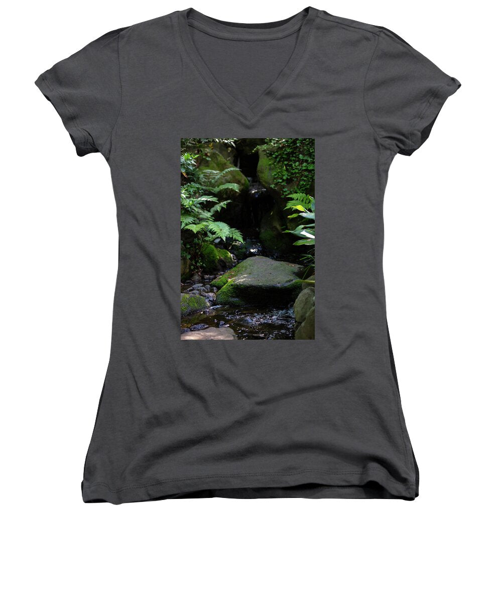 Gardens of Tokyo IV - Women's V-Neck