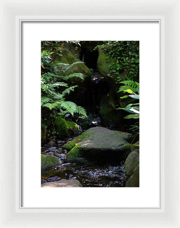 Gardens of Tokyo IV - Framed Print