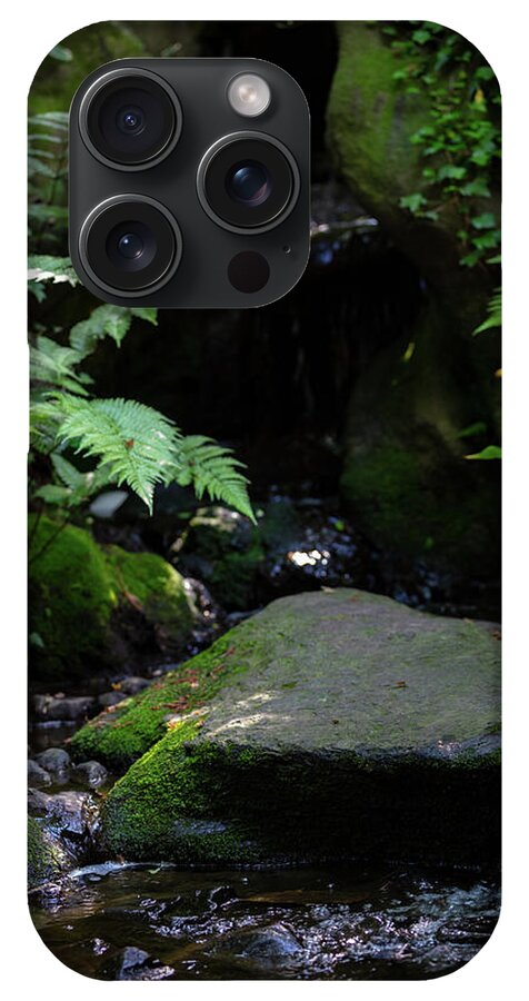 Gardens of Tokyo IV - Phone Case