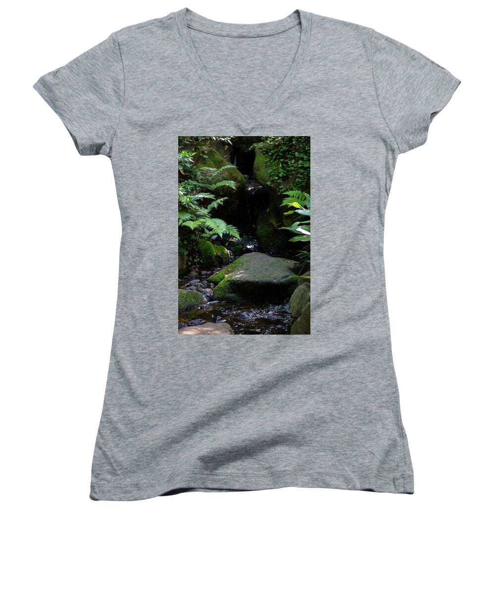 Gardens of Tokyo IV - Women's V-Neck