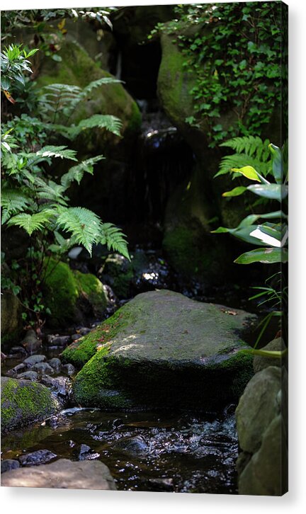Gardens of Tokyo IV - Acrylic Print